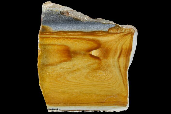 Polished Golden Picture Jasper Section - Nevada #168355